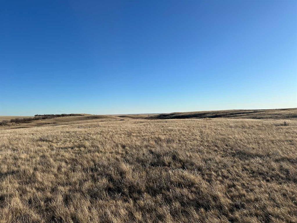 Picture of Along Township Road 164  , Rural Cypress County Real Estate Listing