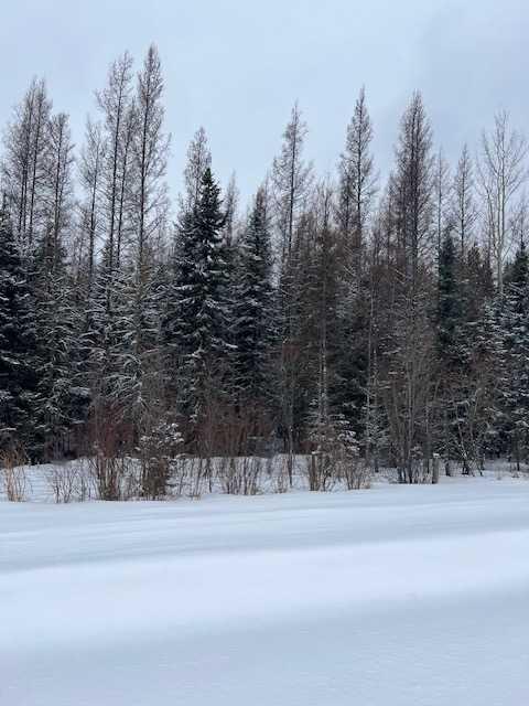 Picture of NW24 59 13 W5  , Rural Woodlands County Real Estate Listing