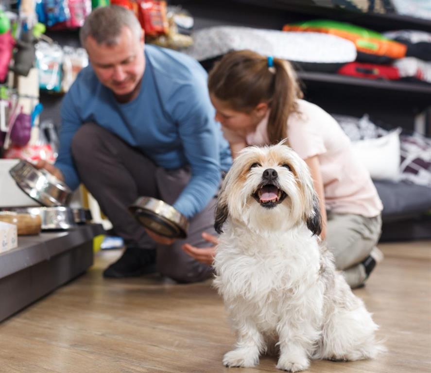 Picture of 123 Pet Store Way  , Edmonton Real Estate Listing