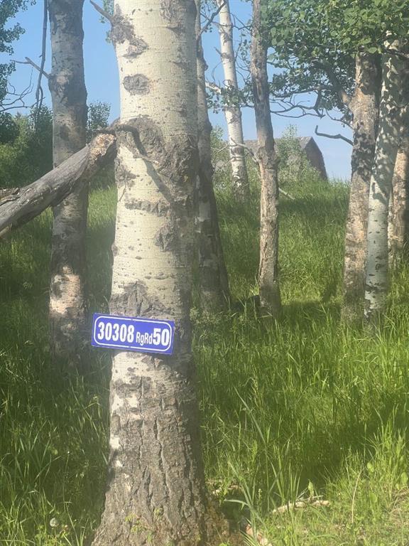 Picture of 30308 RR50  , Rural Mountain View County Real Estate Listing