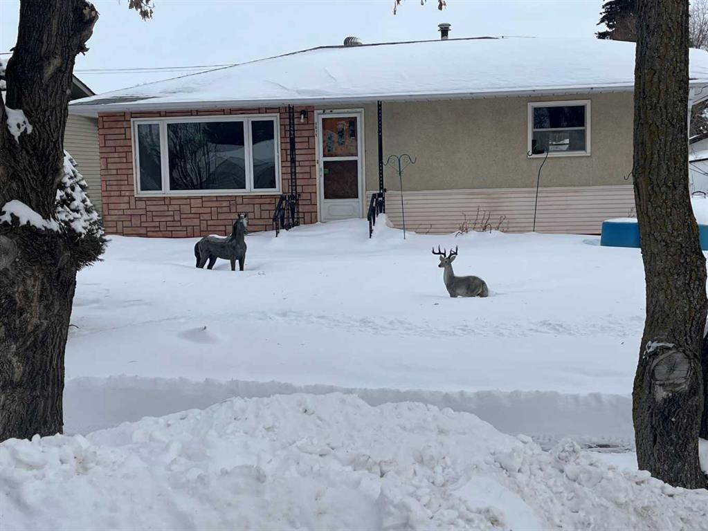 Picture of 5015 53 st  , Mannville Real Estate Listing