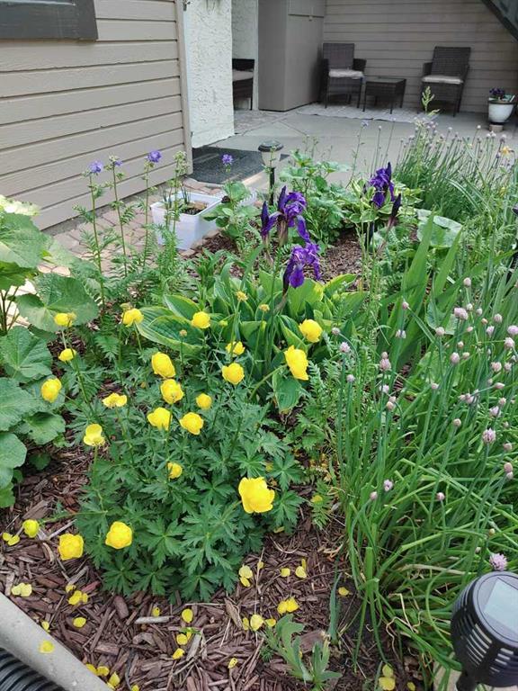 Picture of 141 Cedar Springs Gardens SW, Calgary Real Estate Listing