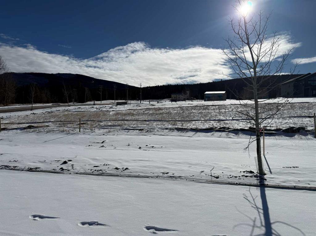 Picture of 405 LILY Avenue , Nordegg Real Estate Listing