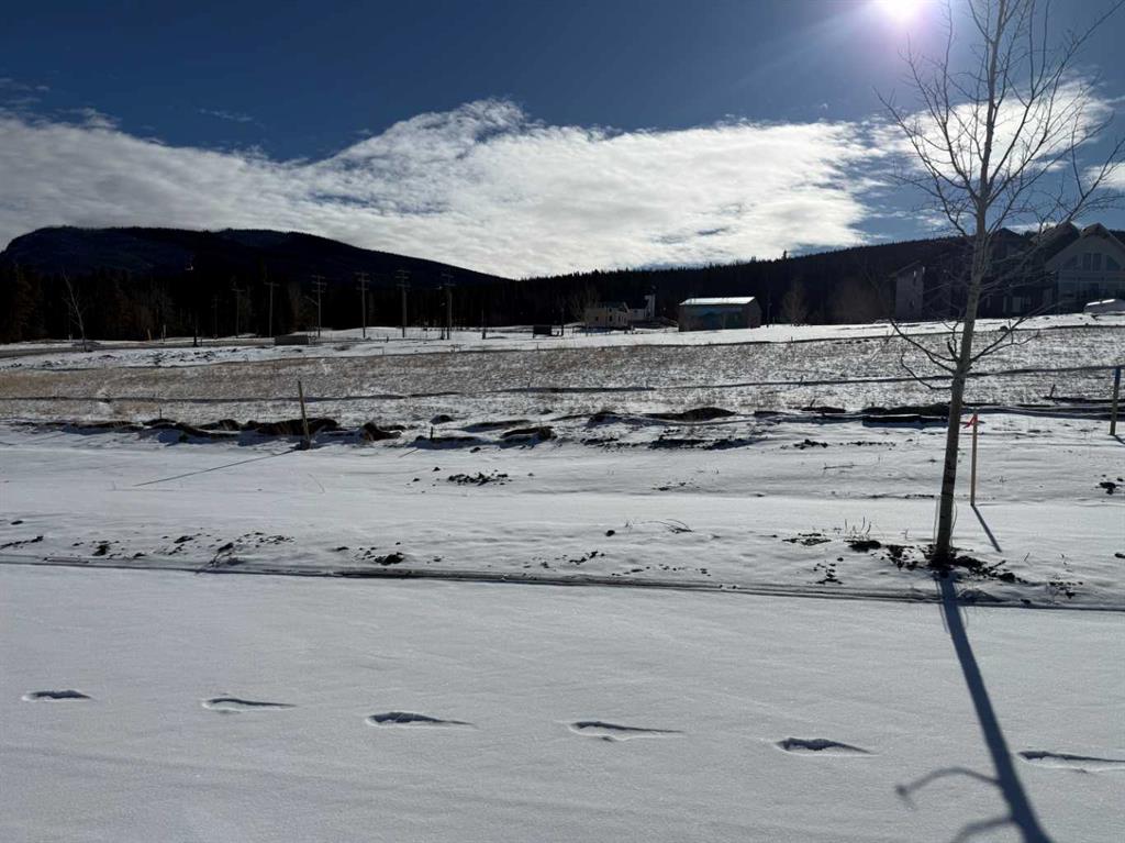 Picture of 409 LILY Avenue , Nordegg Real Estate Listing