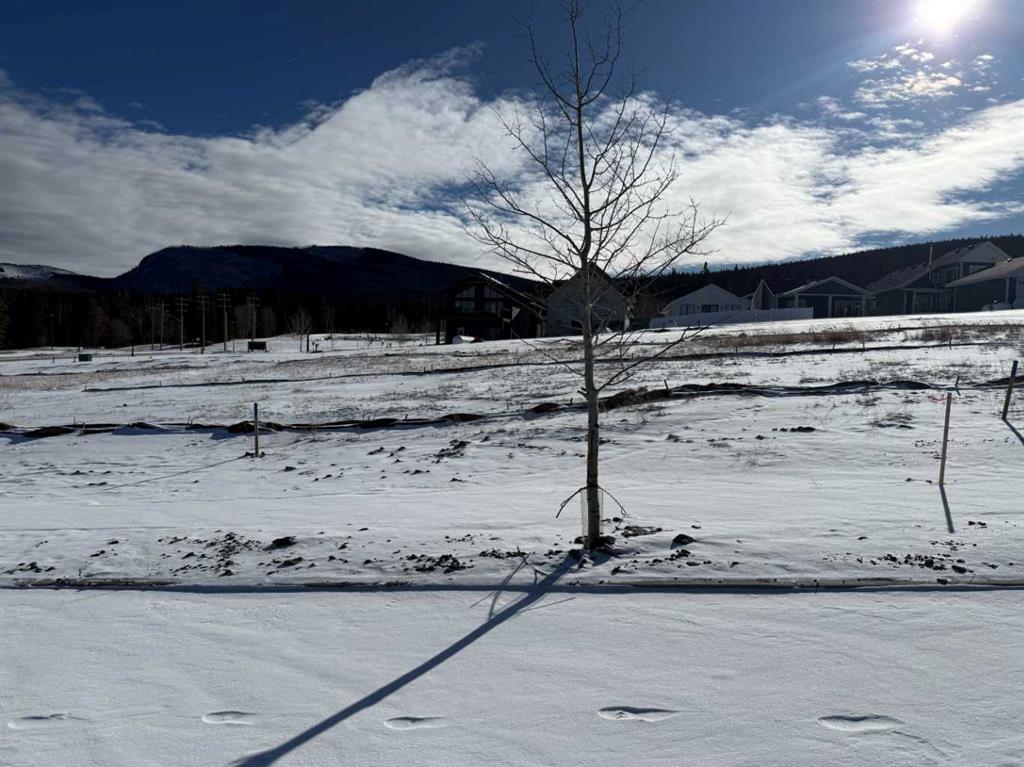 Picture of 425 LILY Avenue , Nordegg Real Estate Listing