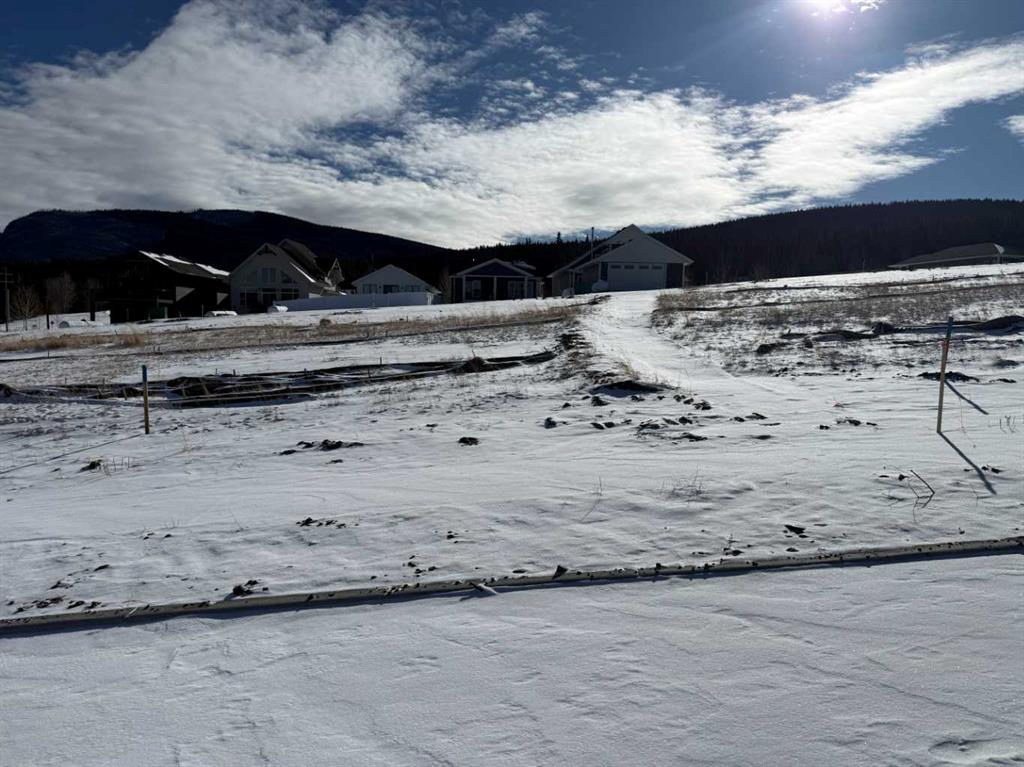 Picture of 433 LILY Avenue , Nordegg Real Estate Listing