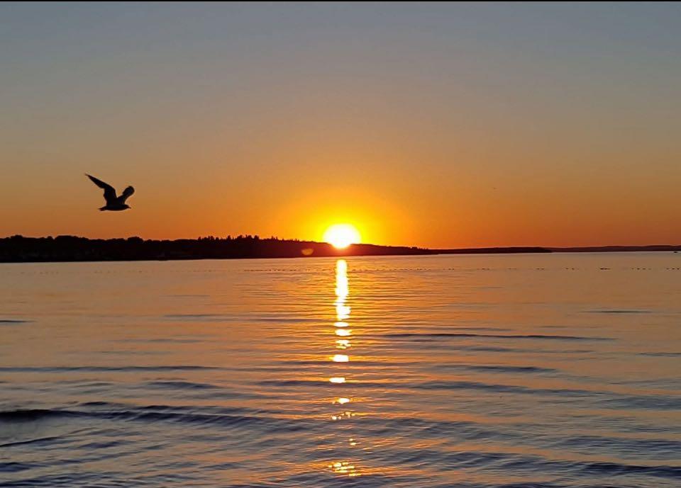 Picture of 56, 5230 Lakeshore Drive , Sylvan Lake Real Estate Listing