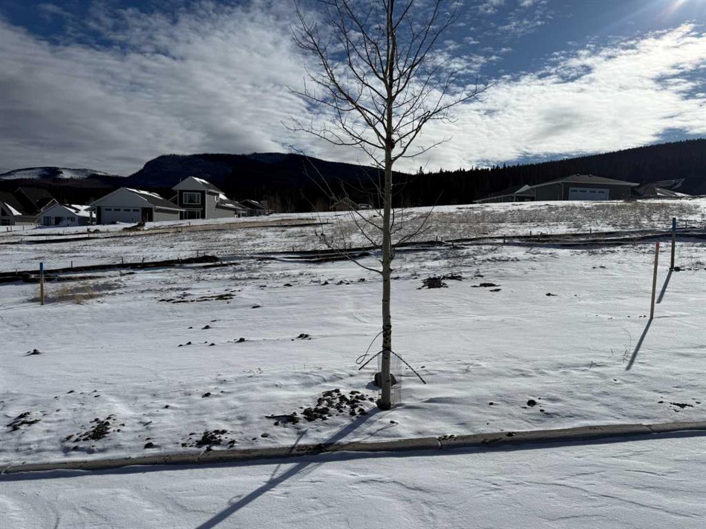 Picture of 449 LILY Avenue , Nordegg Real Estate Listing