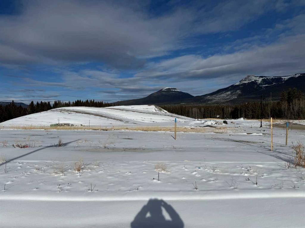 Picture of 404 LILY Avenue , Nordegg Real Estate Listing