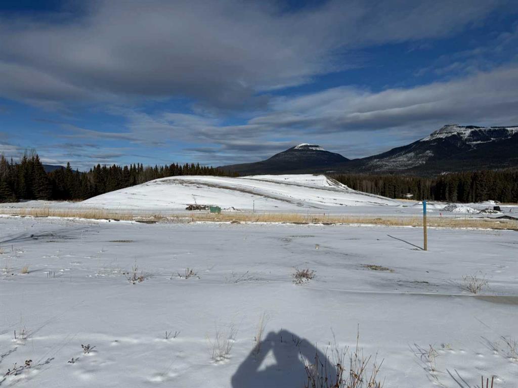 Picture of 408 LILY Avenue , Nordegg Real Estate Listing