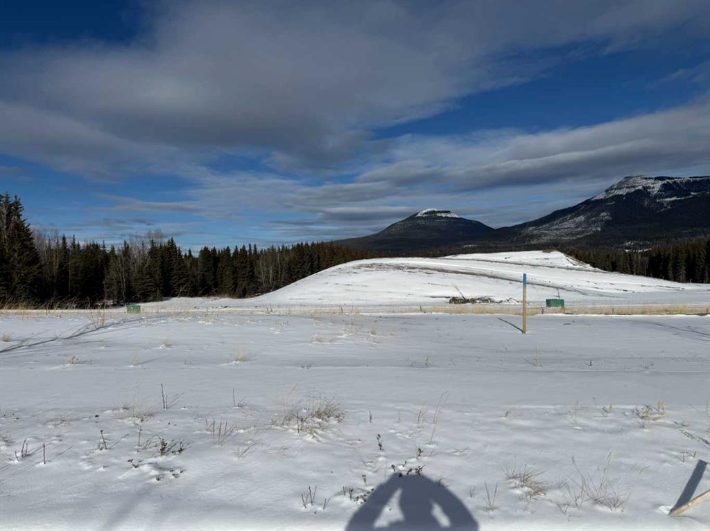 Picture of 416 LILY Avenue , Nordegg Real Estate Listing