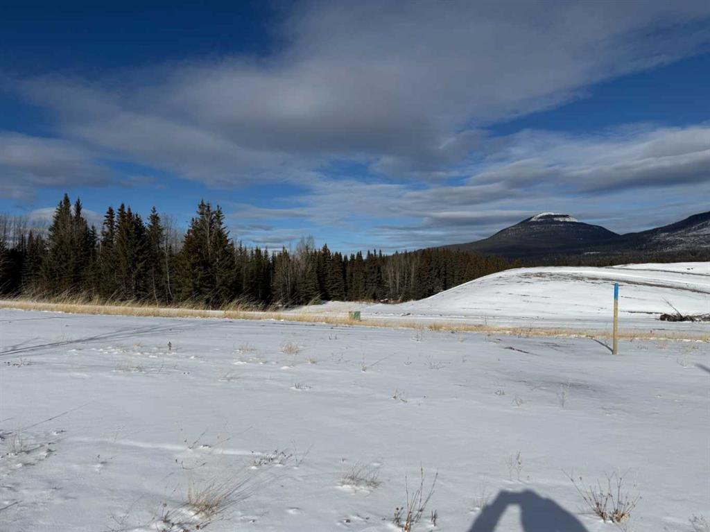 Picture of 420 LILY Avenue , Nordegg Real Estate Listing