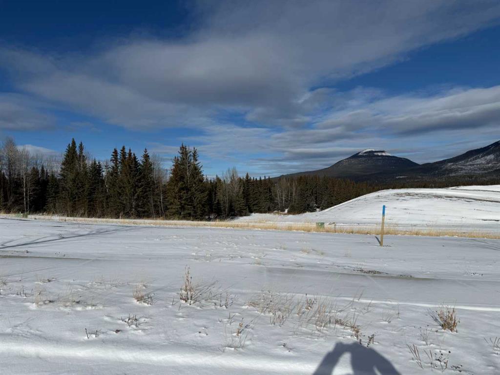 Picture of 424 LILY Avenue , Nordegg Real Estate Listing