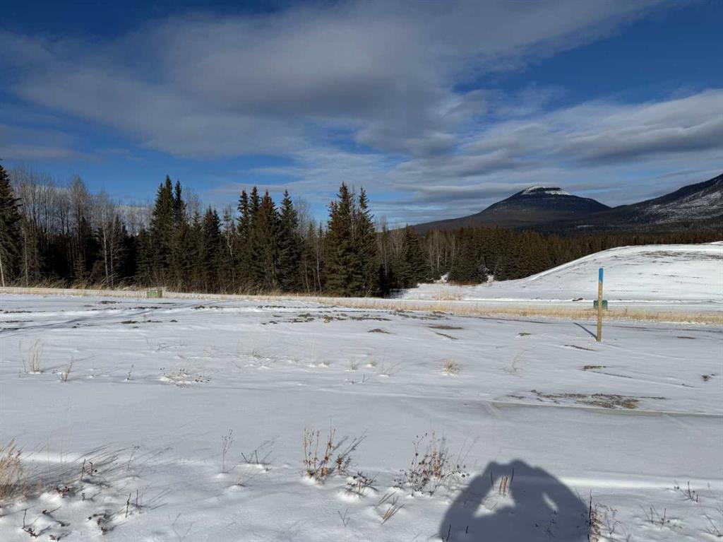 Picture of 428 LILY Avenue , Nordegg Real Estate Listing