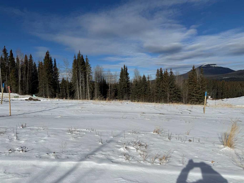 Picture of 436 LILY Avenue , Nordegg Real Estate Listing