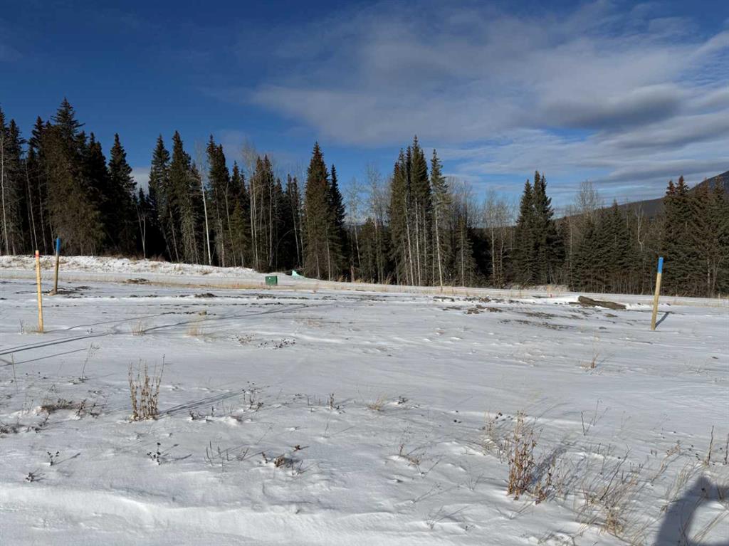 Picture of 440 LILY Avenue , Nordegg Real Estate Listing