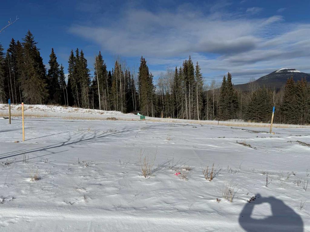 Picture of 444 LILY Avenue , Nordegg Real Estate Listing