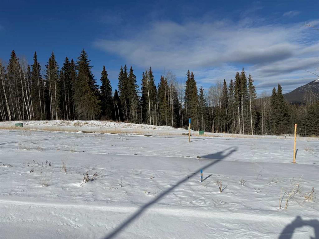 Picture of 448 LILY Avenue , Nordegg Real Estate Listing