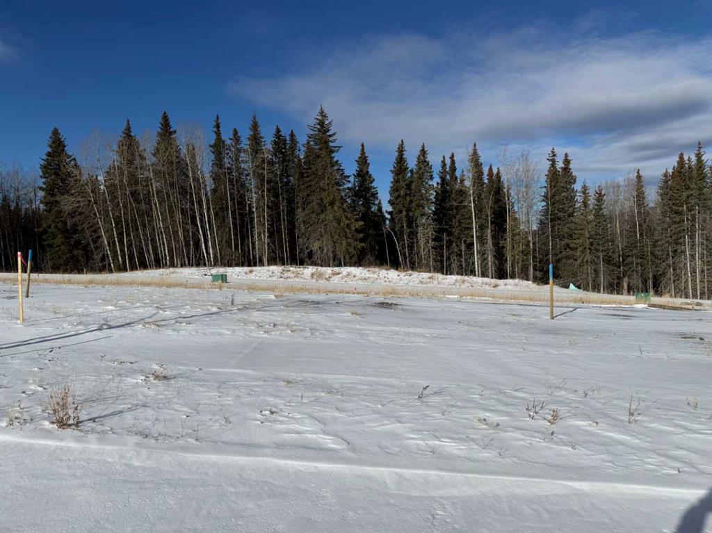 Picture of 452 LILY Avenue , Nordegg Real Estate Listing