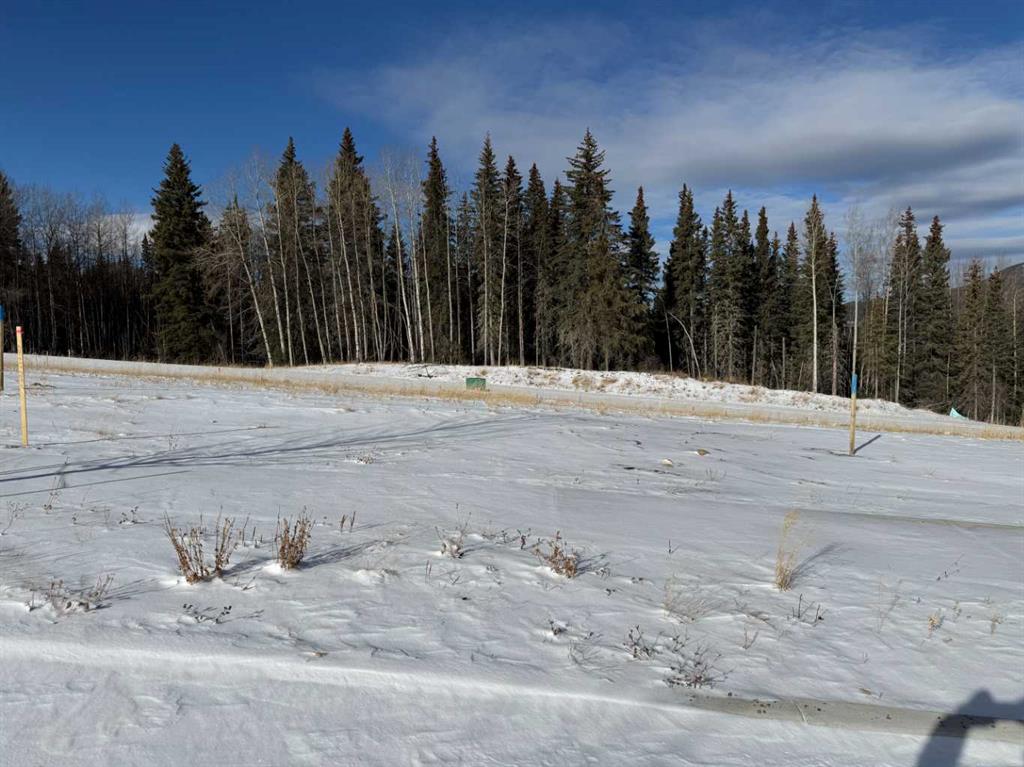 Picture of 456 LILY Avenue , Nordegg Real Estate Listing