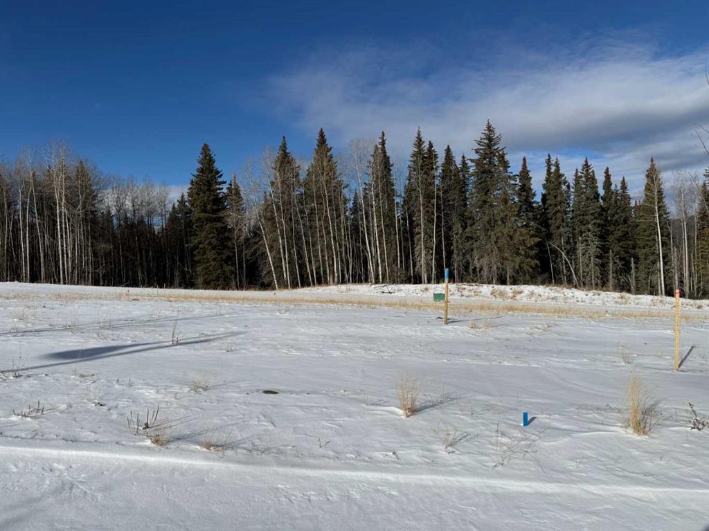 Picture of 460 LILY Avenue , Nordegg Real Estate Listing