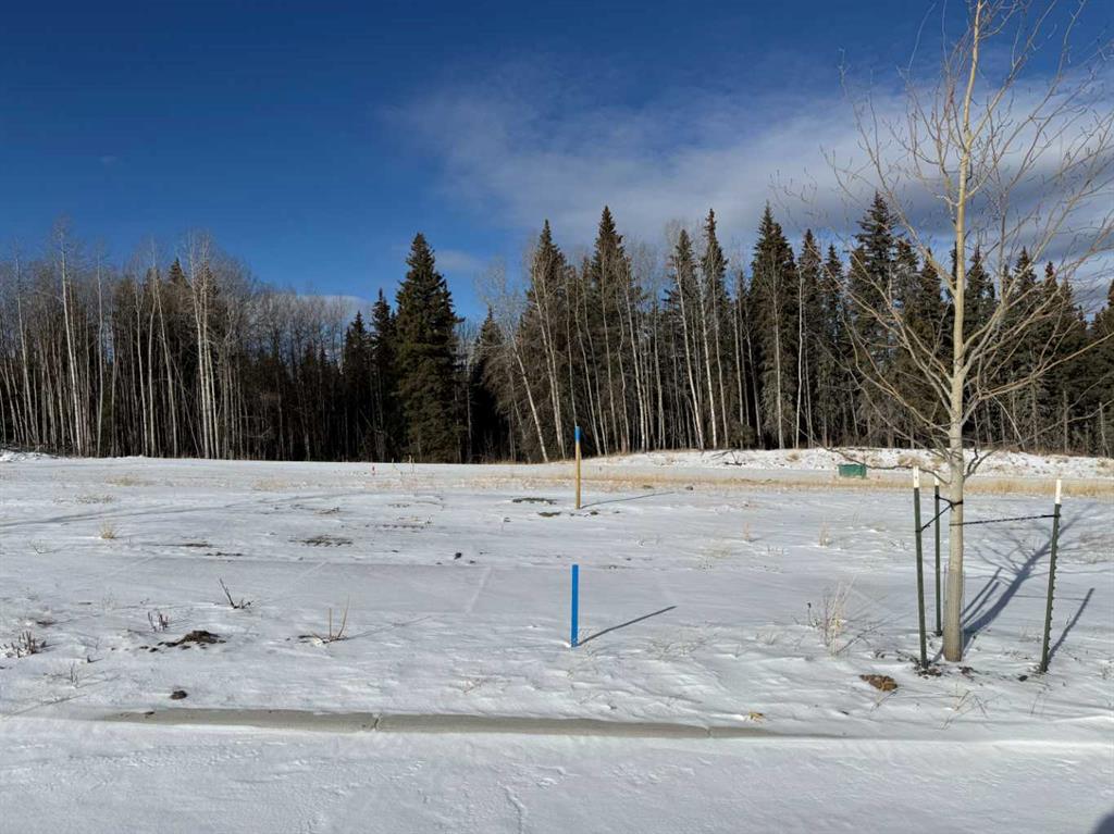 Picture of 464 LILY Avenue , Nordegg Real Estate Listing