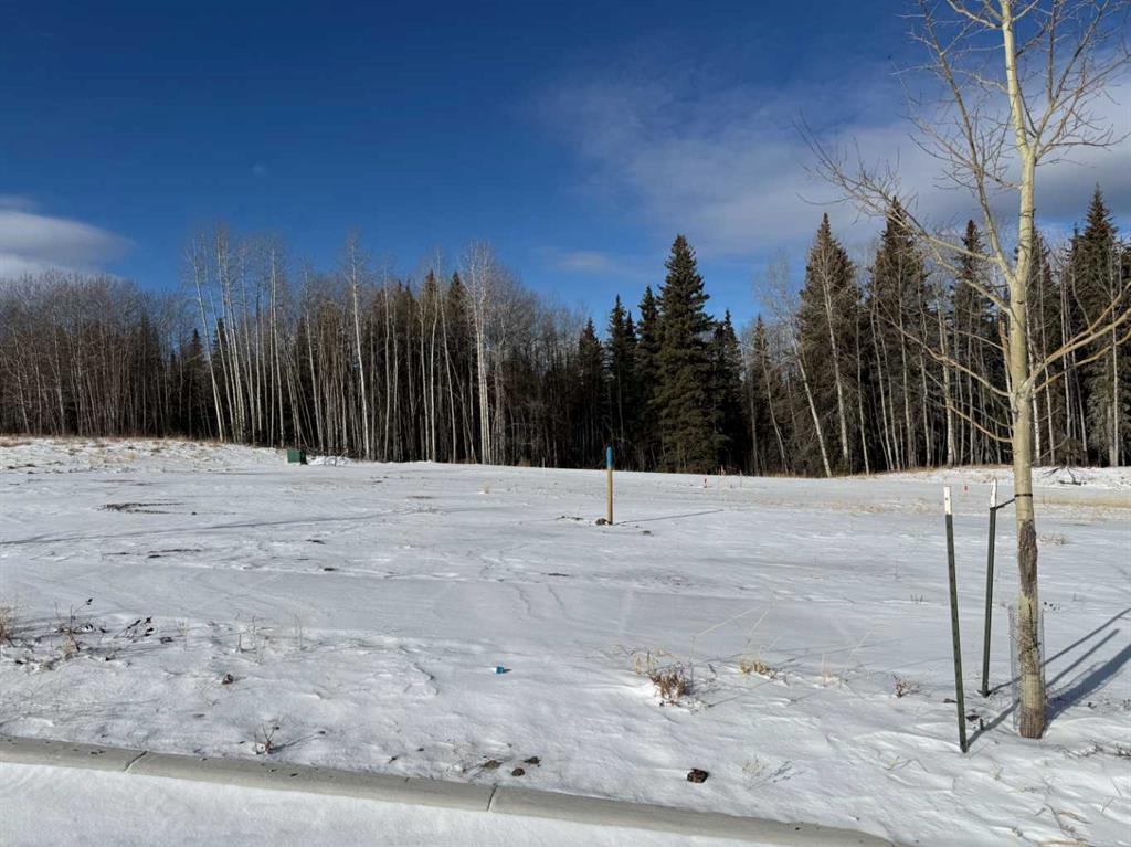 Picture of 468 LILY Avenue , Nordegg Real Estate Listing