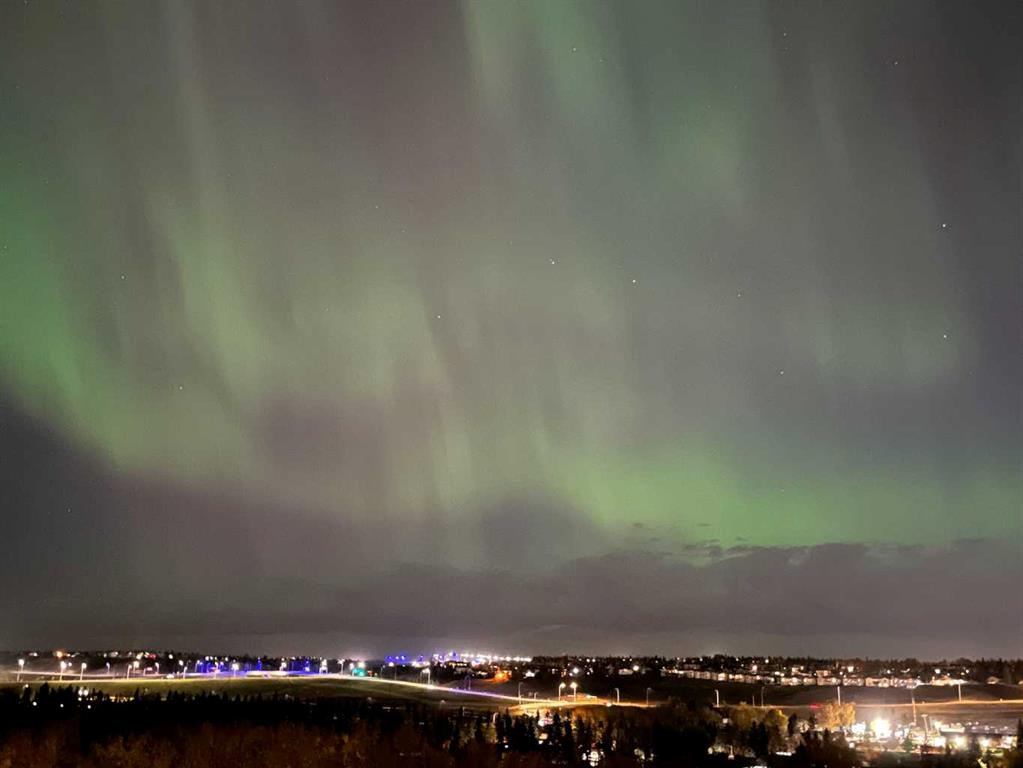 Picture of 811, 8604 48 Avenue NW, Calgary Real Estate Listing