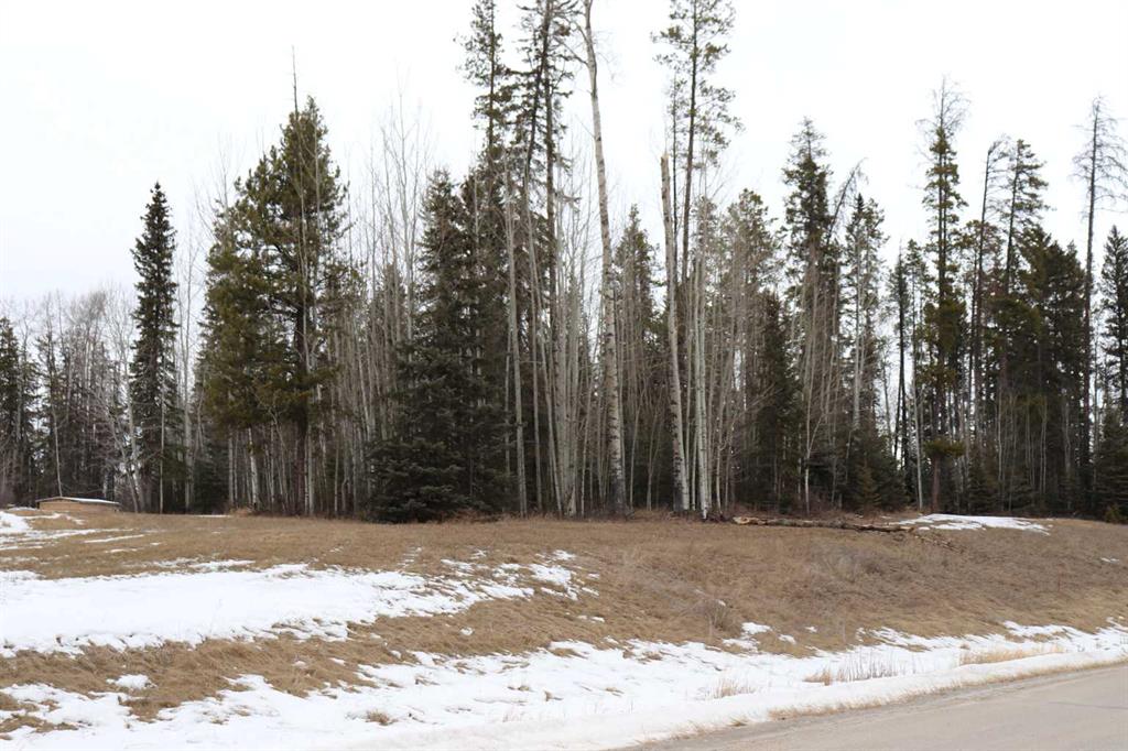 Picture of 48, 16511 Township Road 532A  , Rural Yellowhead County Real Estate Listing