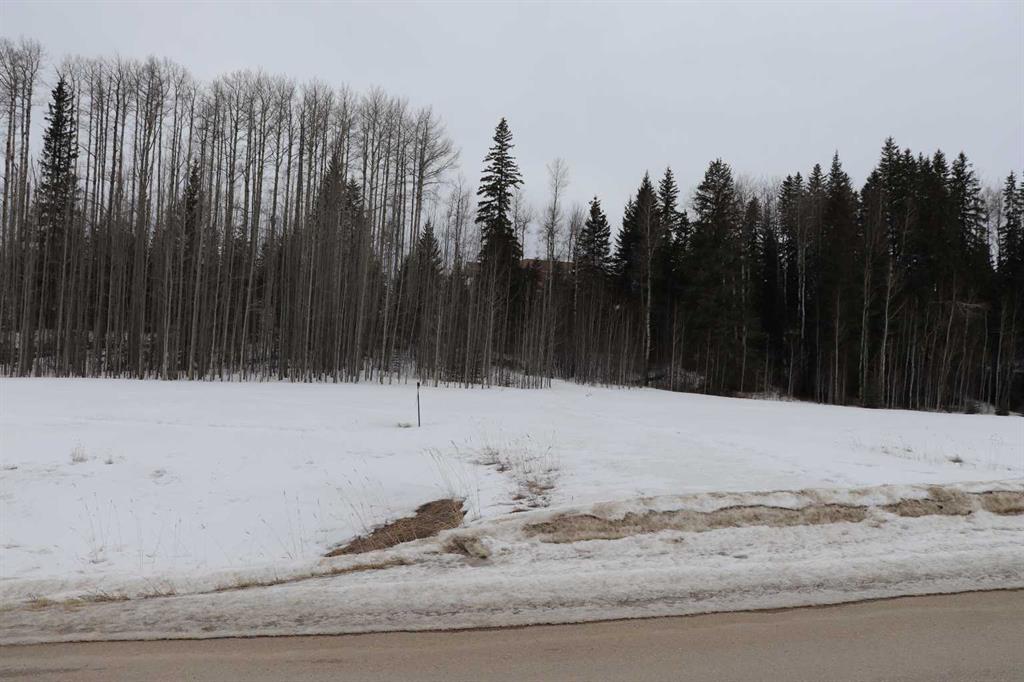 Picture of 24, 16511 Township Road 532A  , Rural Yellowhead County Real Estate Listing