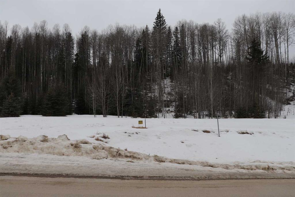 Picture of 22, 16511 Township Road 532A  , Rural Yellowhead County Real Estate Listing