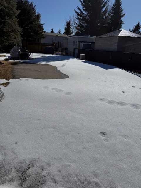 Picture of 50, 370165 79 Street E, Rural Foothills County Real Estate Listing