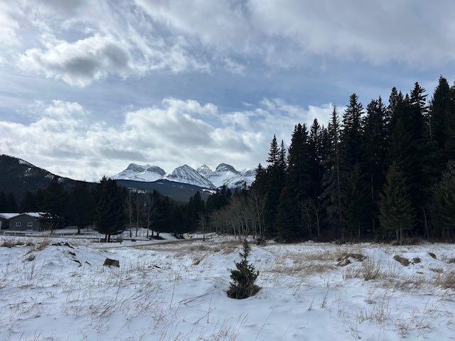 Picture of #8, 6308 25 Avenue , Coleman Real Estate Listing