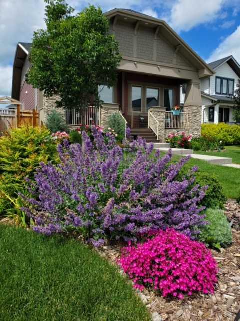 Picture of 7 Arnica View , Rural Rocky View County Real Estate Listing