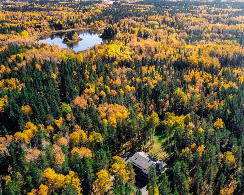 Picture of 336207 Leisure Lake Drive W, Rural Foothills County Real Estate Listing