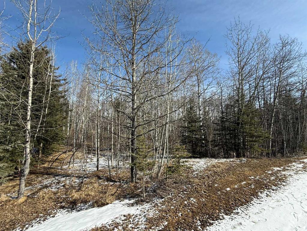 Picture of 40, 29066 Range Road 52  , Rural Mountain View County Real Estate Listing