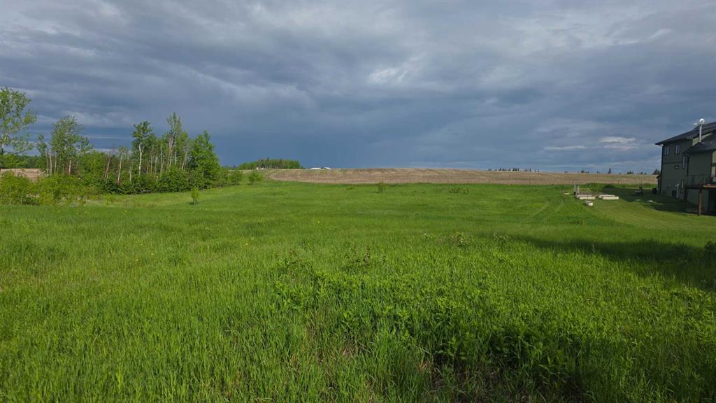 Picture of #114  15421 Old Trail  , Plamondon Real Estate Listing