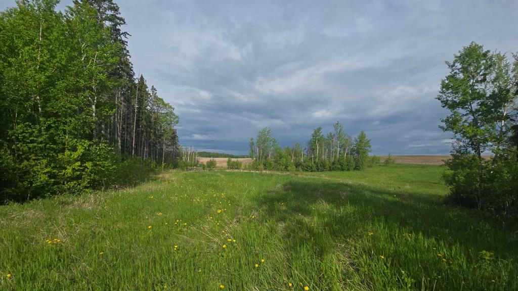 Picture of #118, 15421 Old Trail  , Plamondon Real Estate Listing