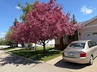 Picture of 115 Macewan Park Heights NW, Calgary Real Estate Listing