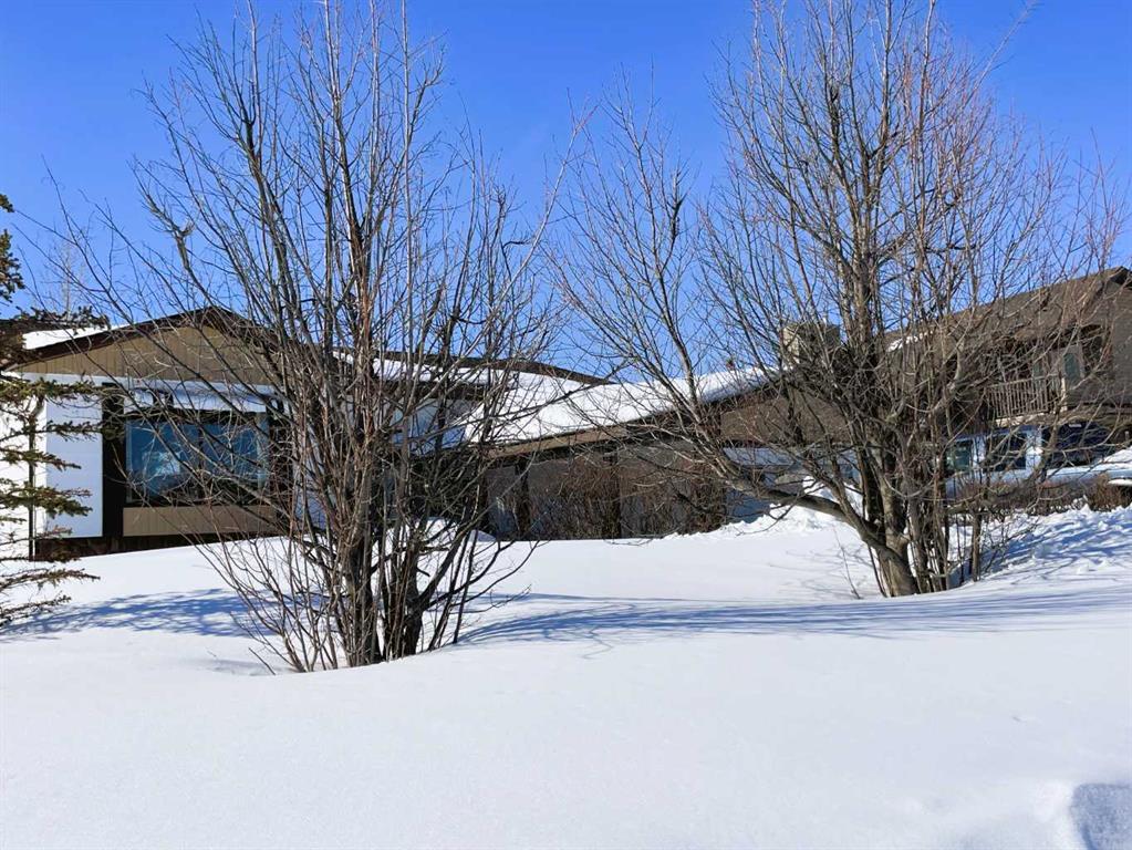 Picture of 10508 104 Street , Fairview Real Estate Listing