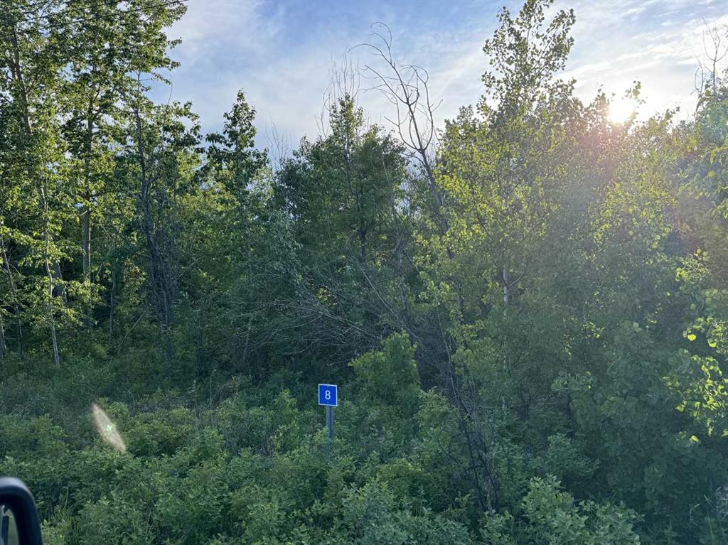 Picture of 8 Buffalo Drive , Rural Stettler No. 6, County of Real Estate Listing