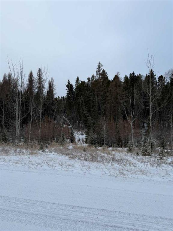 Picture of 505 CLEARWATER ESTATES  , Rural Clearwater County Real Estate Listing