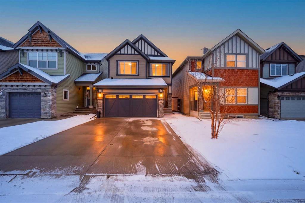 Picture of 119 Skyview Point Crescent NE, Calgary Real Estate Listing