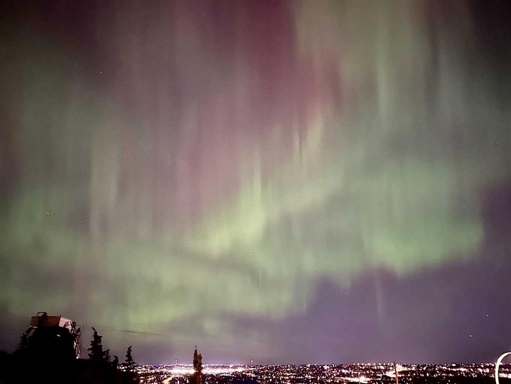 Picture of 61 Cougar Ridge Cove SW, Calgary Real Estate Listing