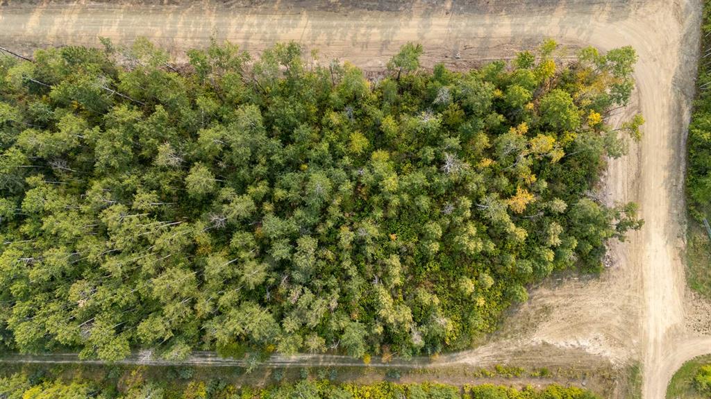 Picture of 1 Crane Lane Murphy Lake  , Rural Real Estate Listing