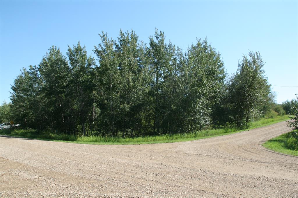 Picture of 7 Buffalo Drive , Rural Stettler No. 6, County of Real Estate Listing