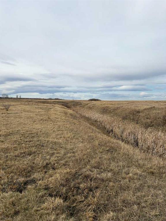 Picture of W 4 Range 25 Twp 24 Section 35 NE  , Rural Wheatland County Real Estate Listing