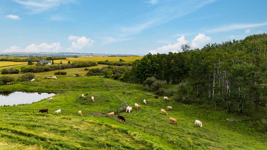 Picture of 402 Avenue , Rural Foothills County Real Estate Listing