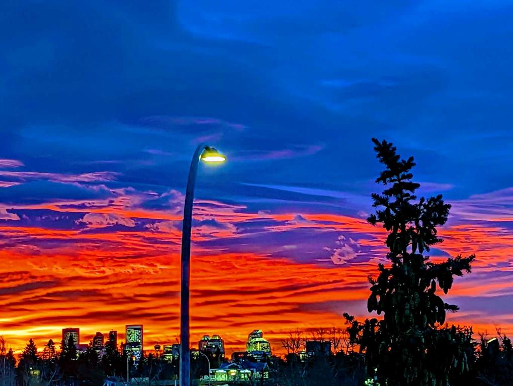 Picture of 411, 3101 34 Avenue NW, Calgary Real Estate Listing