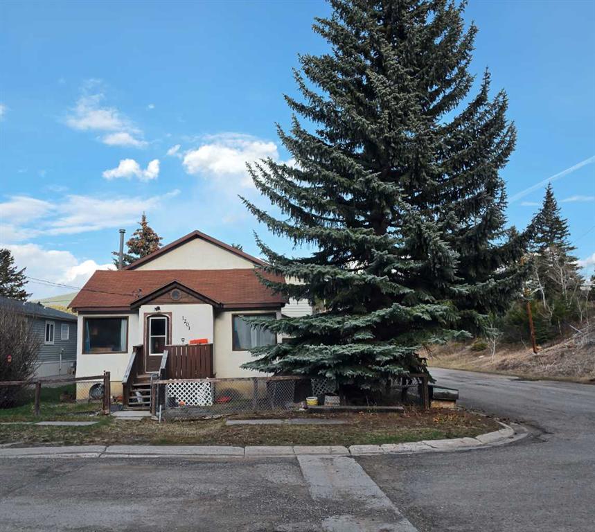 Picture of 1201 83 Street , Coleman Real Estate Listing